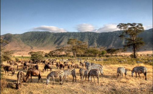 Ngorongoro Crater