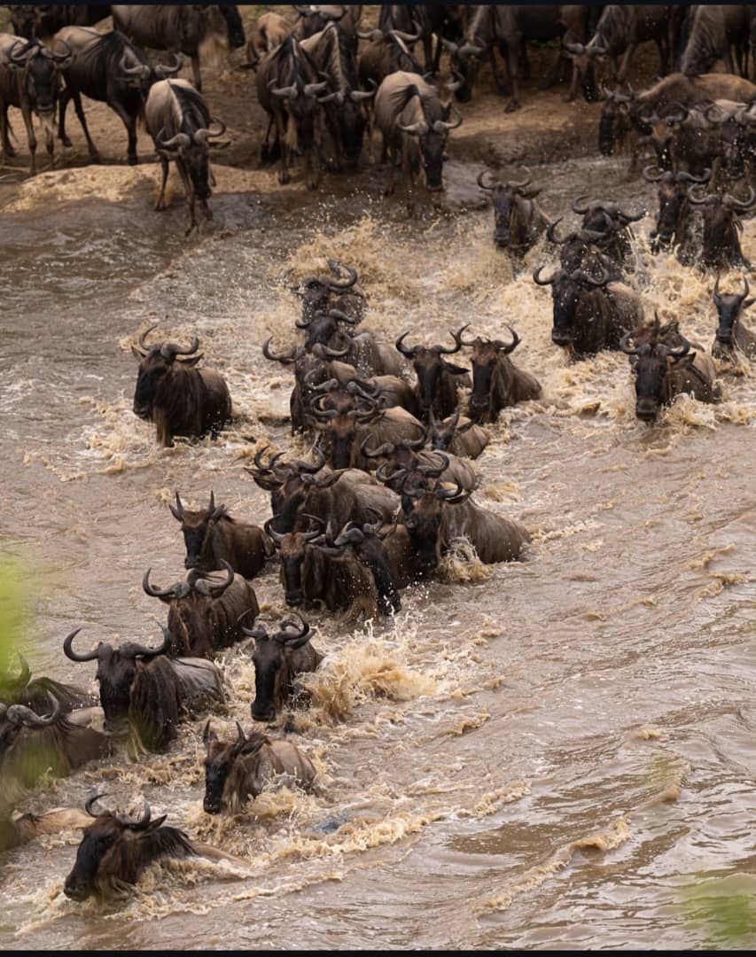 Great Migration