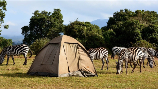 Adventure Camping Safari Travel Nest