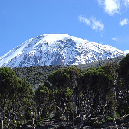 Mount Meru View