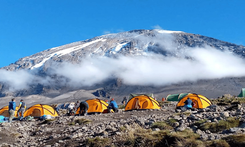Kilimanjaro Tours