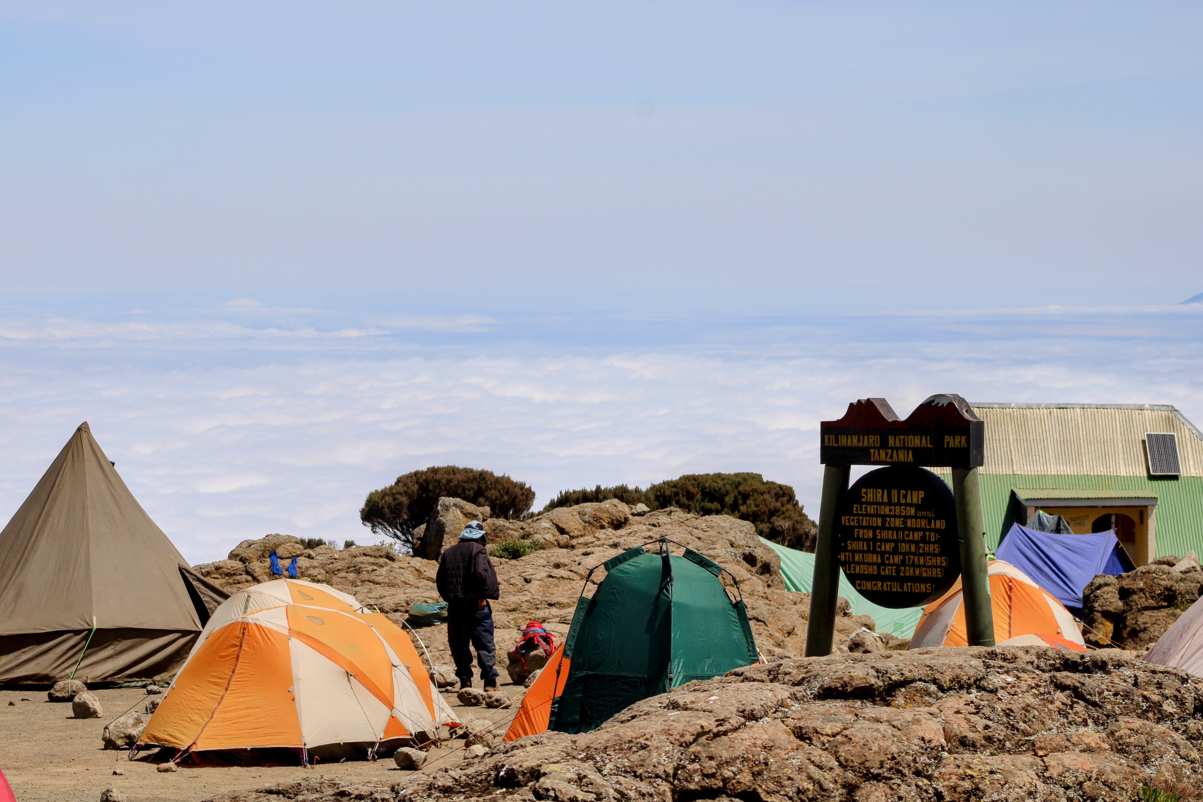 Kilimanjaro Tours