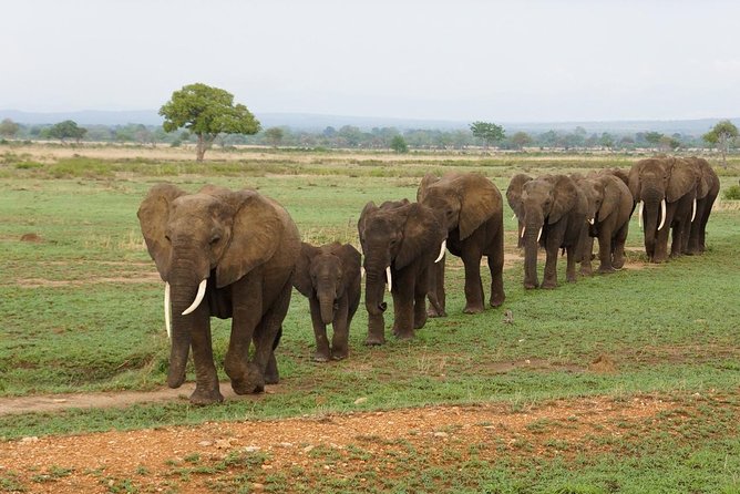 Great Migration
