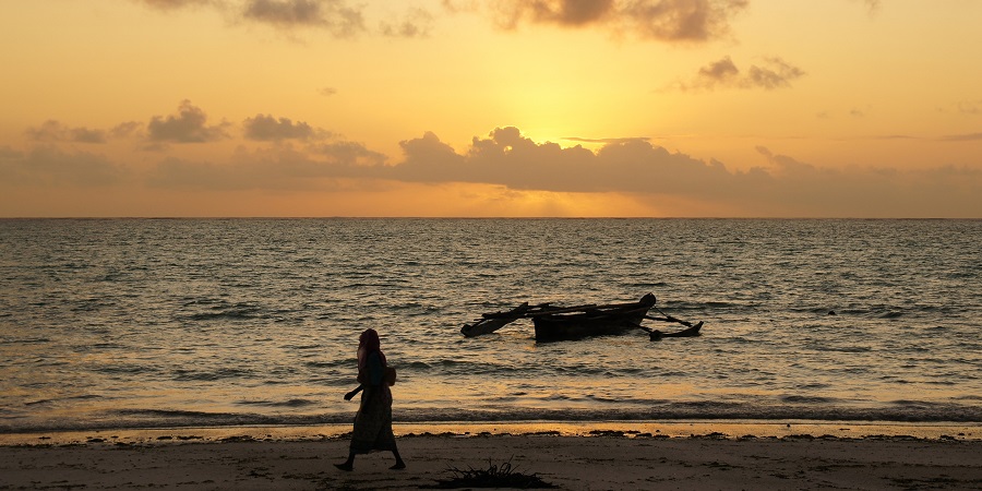 Zanzibar Coastline